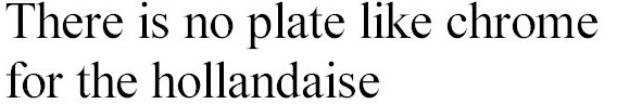 Text sample in Times New Roman