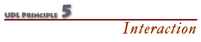 UDL Principle 5 - Interaction